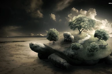 Turtle Carrying The Weight Of Nature Wallpapers Digital Art ...