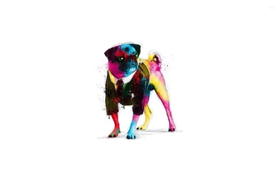 Psychedelic Pug Wallpapers Artistic Wallpapers
