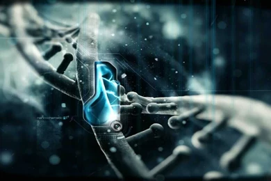 High Tech Animated Wallpapers Http://www.desktopanimated.com YouTube