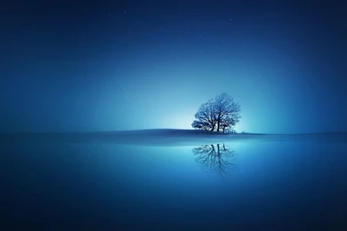 Blue Reflections Wallpapers