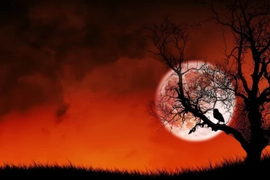 Windows XP Full HD Wallpapers HD Images New