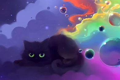 Funny Wallpapers Abstract Cat 1920x1080