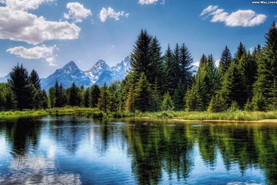 Nature Spring HD Wallpapers