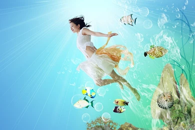 Wallpaper: Fish Wallpaper