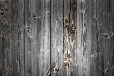 Most Popular iPad Wallpapers