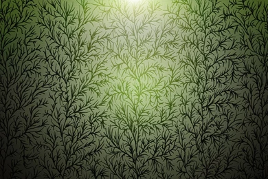 Branches Of Wood Texture Wallpapers And Images Wallpapers ...