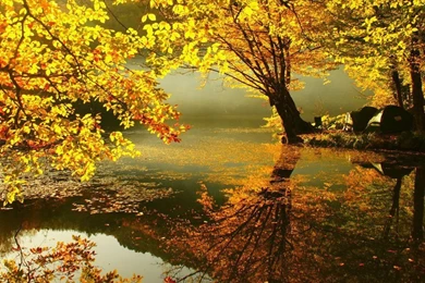 3D Autumn Wallpapers