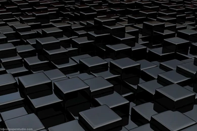 BLACK WALLPAPER STAY006