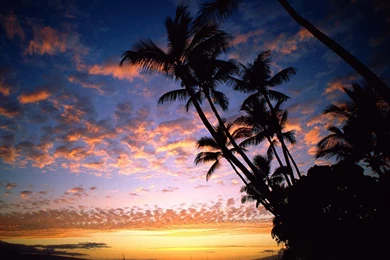 Hawaii Wallpapers Photo