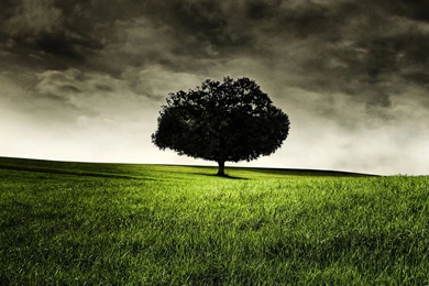 Most Popular iPad Wallpapers