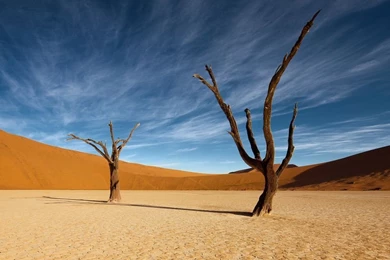 Deadvlei Free iMac 27" Wallpapers Desktop Backgrounds 2560x1440 ...