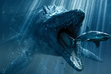 Wallpapers Tagged With UNDERWATER