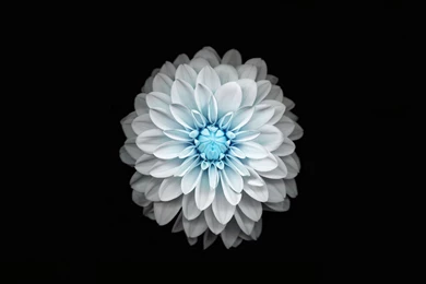 iPad Retina Wallpapers HD Retina Ready, Stunning Wallpapers