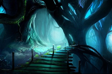 Forest Wallpaper Backgrounds