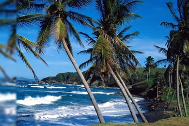 Desktop Wallpapers Free_hd Wallpaper_download Free Wallpapers