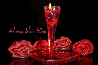 Happy Rose Day 2016 HD Wallpapers Happy Valentine's Day 2016 ...
