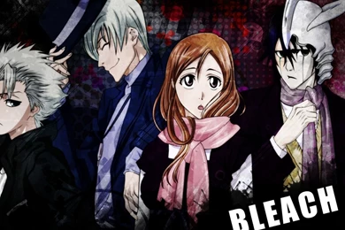 Download Wallpapers 1280x960 Bleach, Girl, Guys, Look, Backgrounds ...