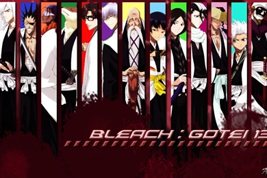 My Top Bleach Captains Series Coming