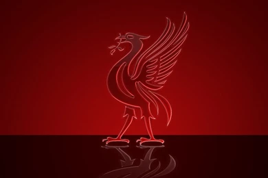 Liverpool Bird 1600×900 Liverpool Wallpapers In Football Style ...