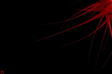 Black Wallpaper: Black Wallpapers