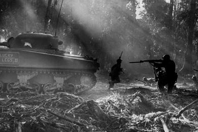 Red Biohazard Wallpapers HD Resolution