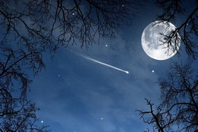 HD Quality Night Sky Stars Moon Wallpapers HD SiWallpapers 23268