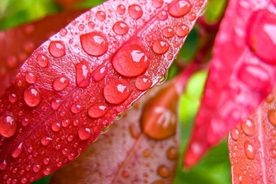 Best Wallpapers STAY024