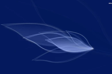 Transparent Feathers Wallpapers Abstract Wallpapers