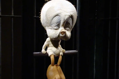 Weird Computer Wallpapers, Desktop Backgrounds