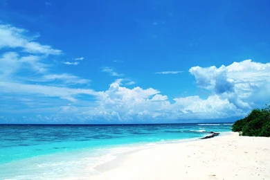 Sand Brown Beach Wallpapers HD Desktop