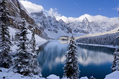 Winter Hd Wallpapers 1080P 1607802