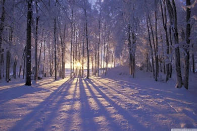 Winter Is Coming HD Desktop Wallpapers : High Definition ...