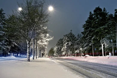 White. Landscape. Nature. Winter. Snow Wallpapers :: HD Wallpapers