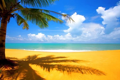 Download Beach 1280 X 800 Wallpapers MuV3AcwTOXaa Beach ...