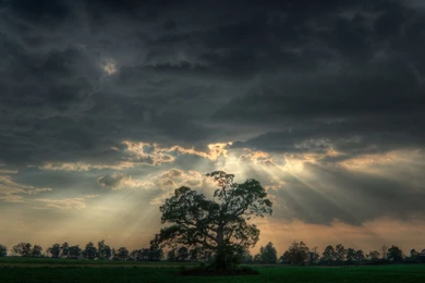 Nature HD Wallpapers