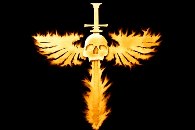 Cool Skull Wallpapers, Images, Pictures, Pics