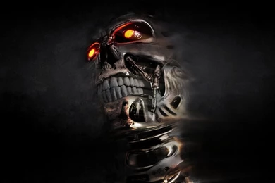 Free Skull Wallpapers