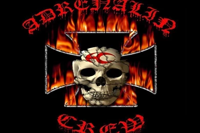 Free Skull Wallpapers For Android