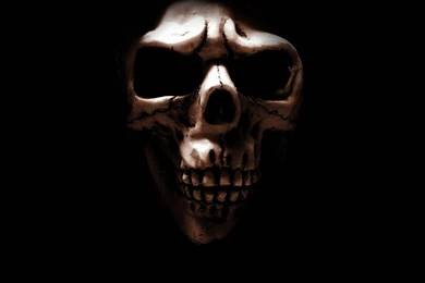 Skull Wallpapers Free