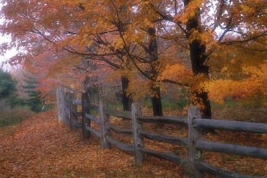 Country Fence Wallpapers 26275