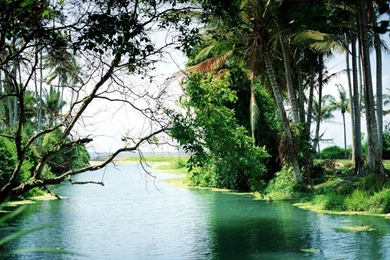 Free Wallpapers Free Travel Wallpapers Bali 1 Wallpapers ...