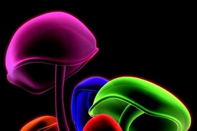 Wallpapers For iPhone 5 Find A Wallpaper, Backgrounds Or Lock ...