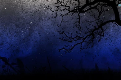 Starry Night Sky Wallpapers Digital Art Wallpapers