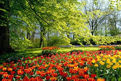 Cool HD Spring Wallpapers HD Wallpapers