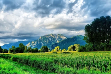 Spring Landscape Wallpapers HD Resolution