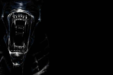 26 Aliens Vs. Predator HD Wallpapers
