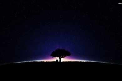 Couple Silhouette Under Night Sky, Tree, Star, Digital art ...