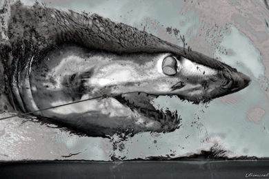 Extreme Post!! Wallpapers! Taringa!