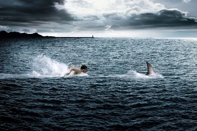 Extreme Swimming Wallpapers And Images Wallpapers, Pictures, Photos