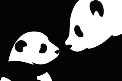 Panda Bear Wallpapers